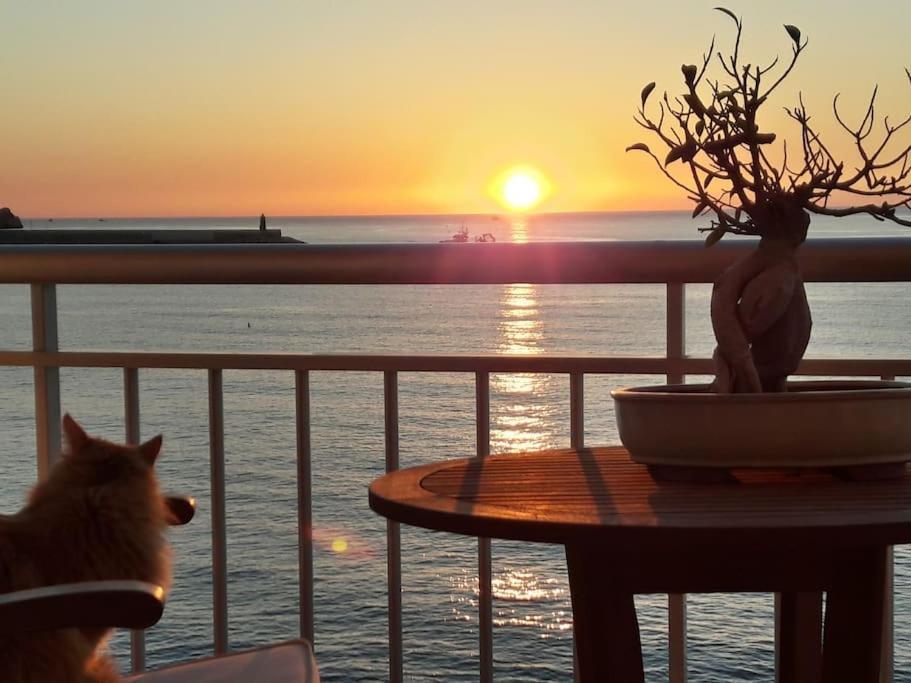 La Casa Del Port Apartment Jávea Екстериор снимка
