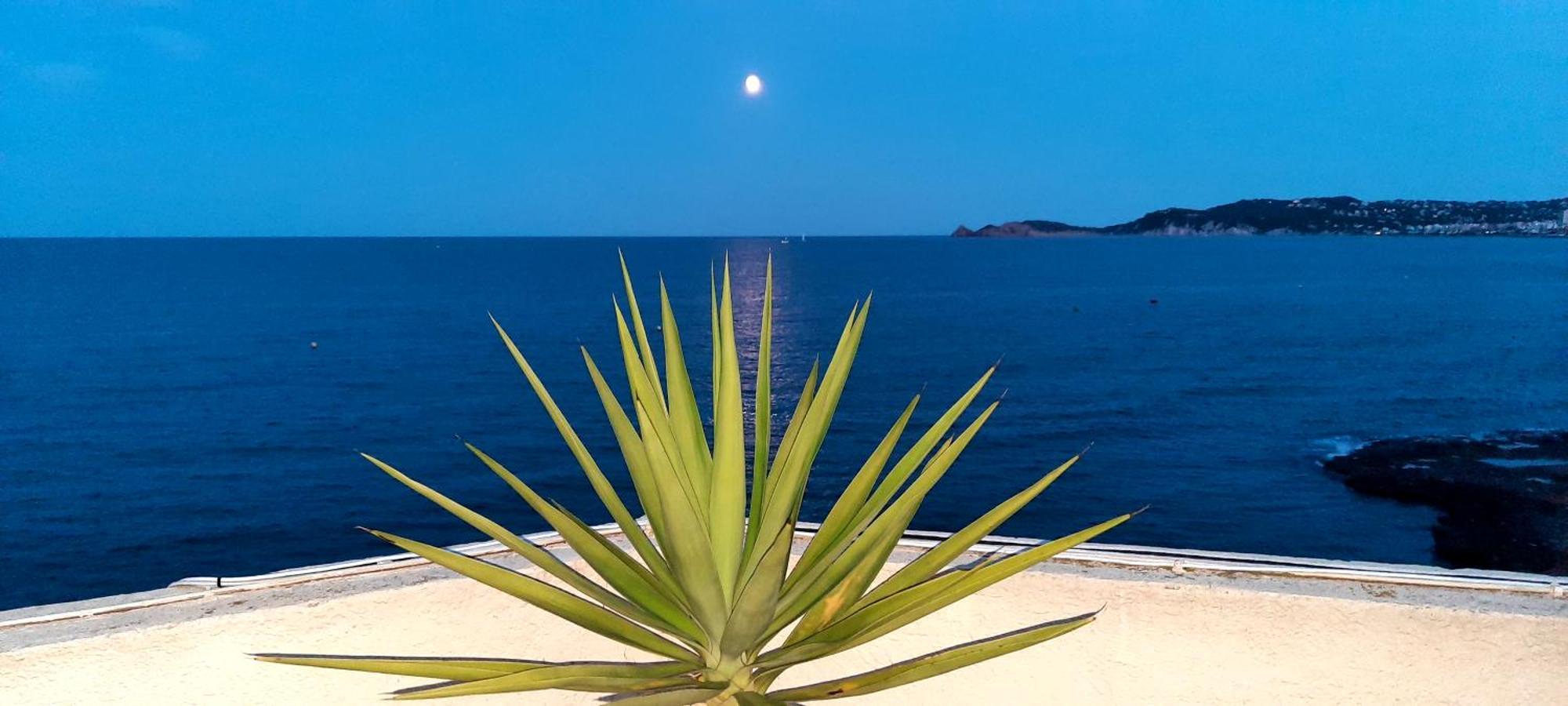 La Casa Del Port Apartment Jávea Екстериор снимка